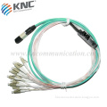 MPO Fiber Optic Pigtail & Patch Cord
